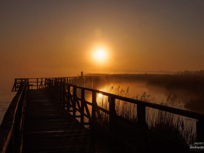 Sonnenaufgang Federseesteg